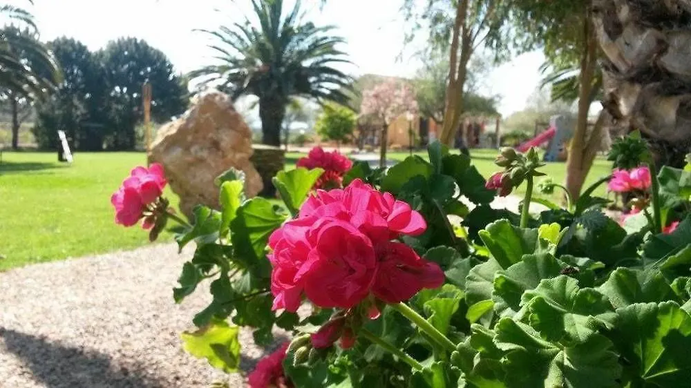 Agriturismo I Vigneti Olmedo