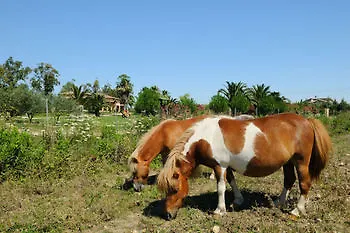 Séjour à la ferme Agriturismo I Vigneti Olmedo